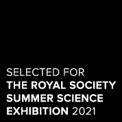 Royal Society Summer Science Festival 2021